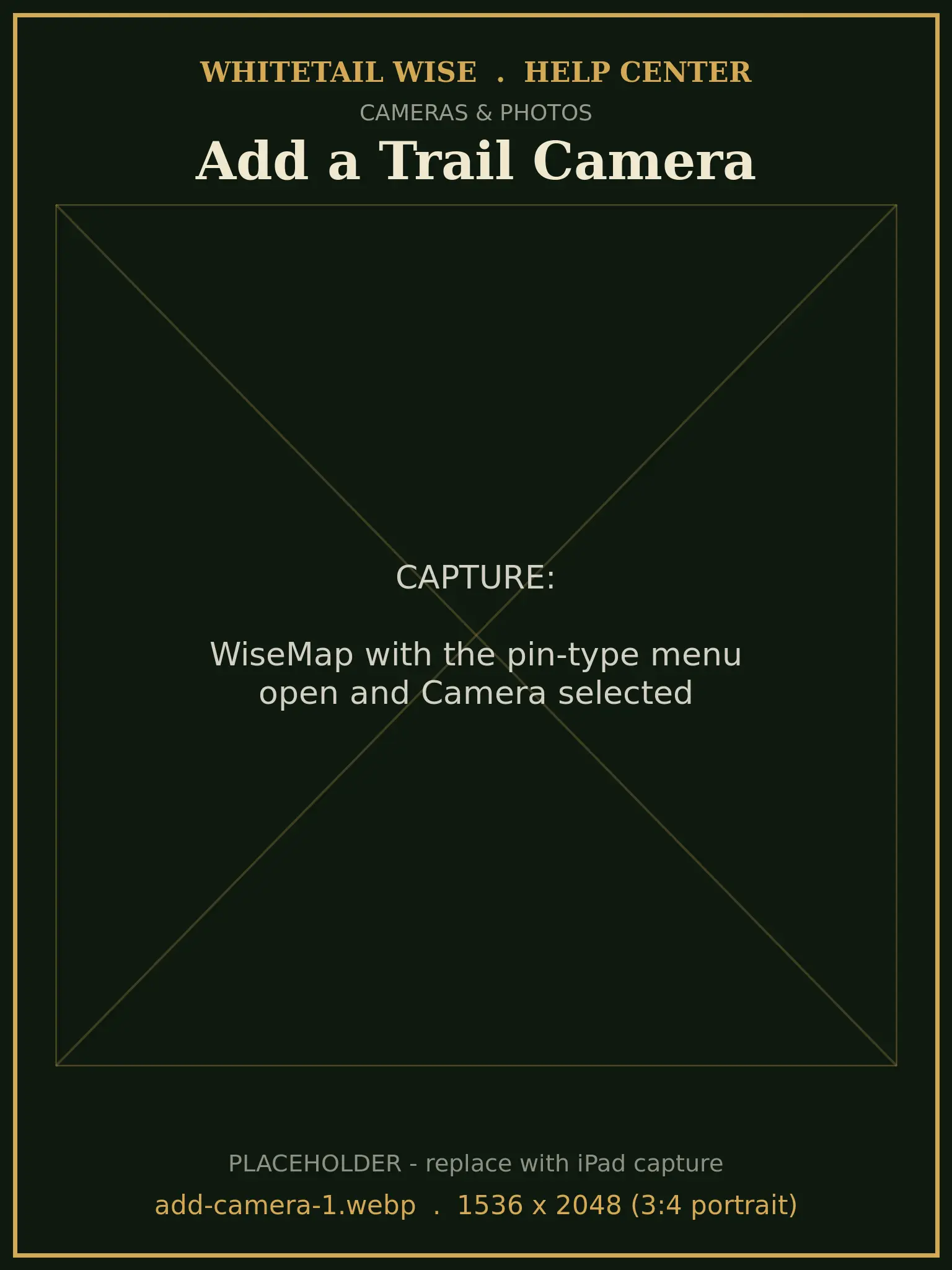 WiseMap with the pin-type menu open and Camera selected