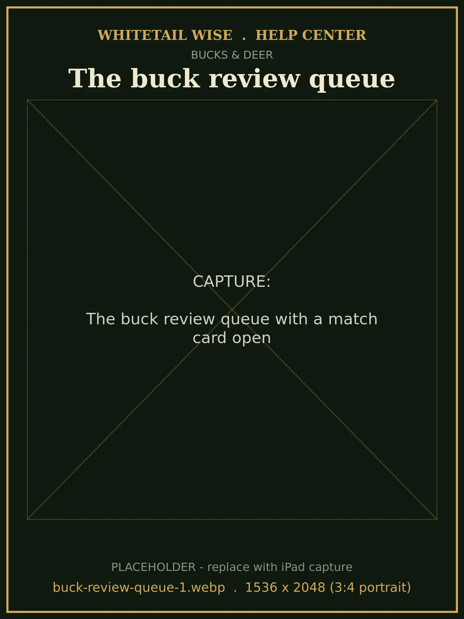 The buck review queue with a match card open