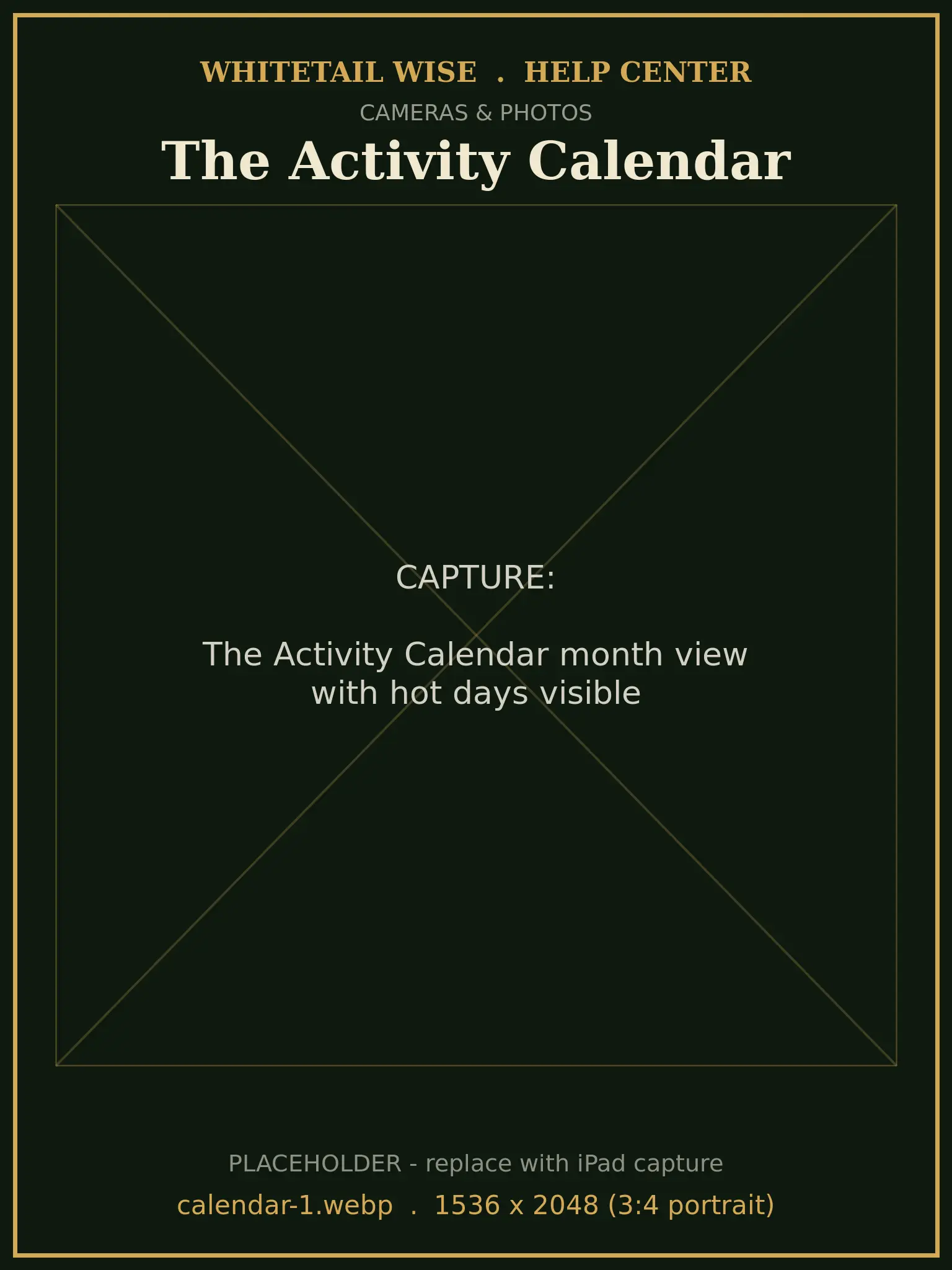 The Activity Calendar month view with hot days visible