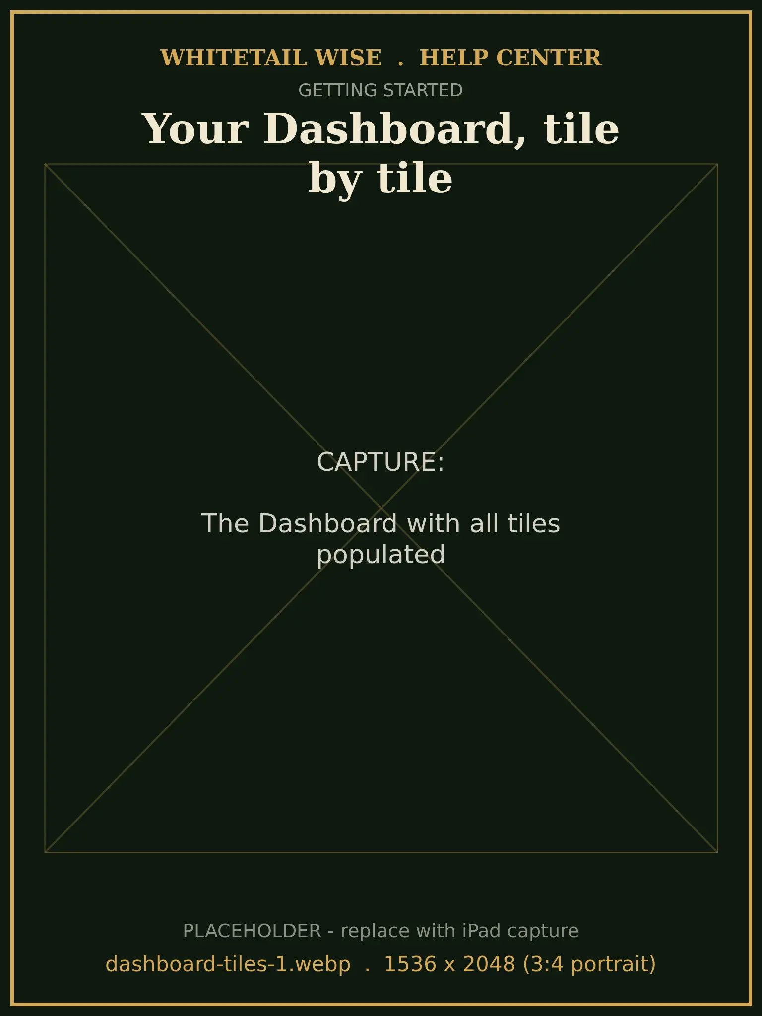 The Dashboard with all tiles populated