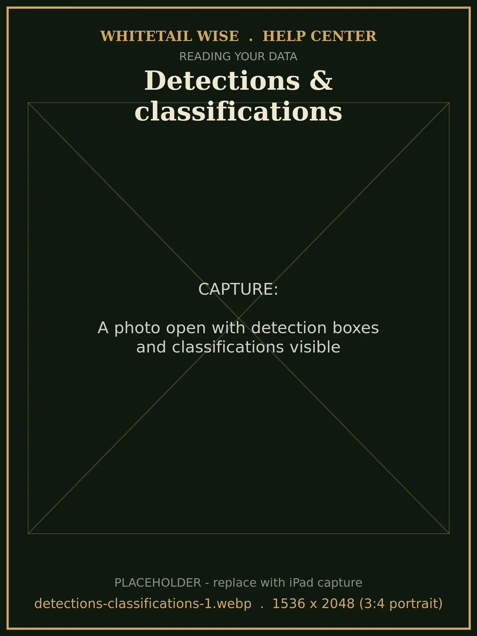 A photo open with detection boxes and classifications visible