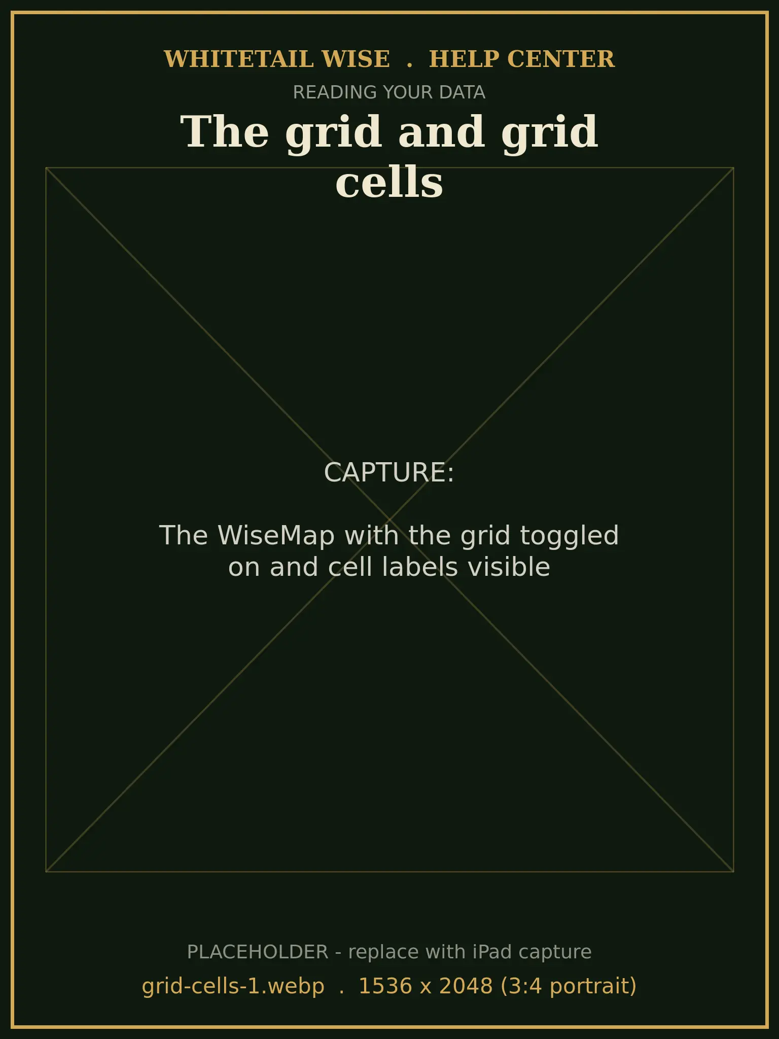 The WiseMap with the grid toggled on and cell labels visible