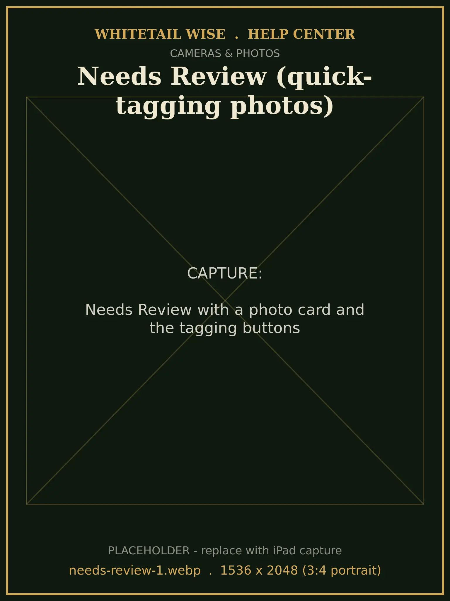 Needs Review with a photo card and the tagging buttons