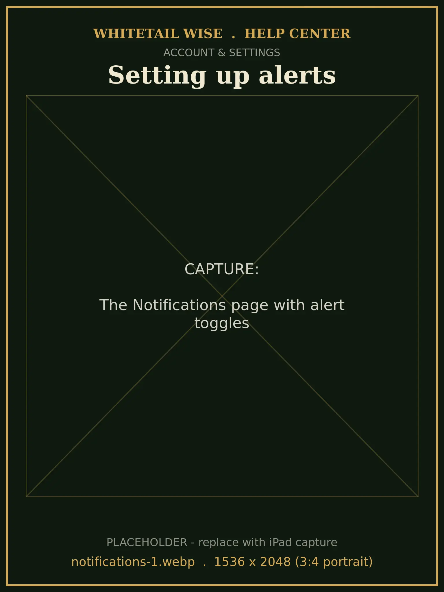 The Notifications page with alert toggles