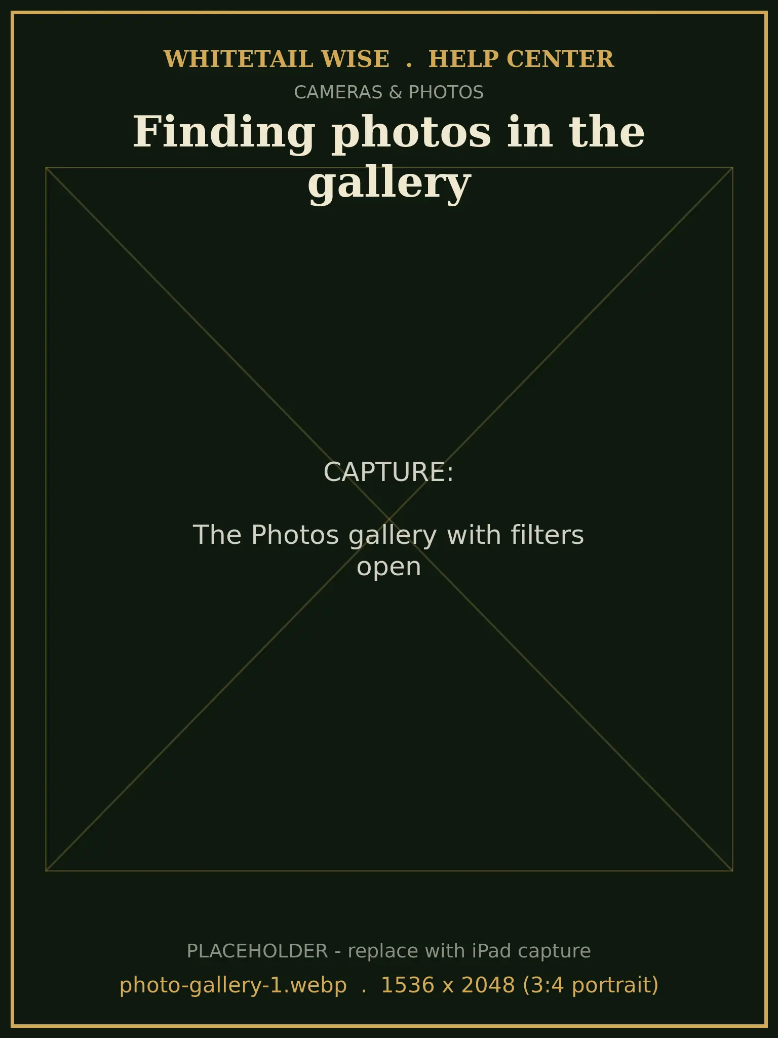 The Photos gallery with filters open
