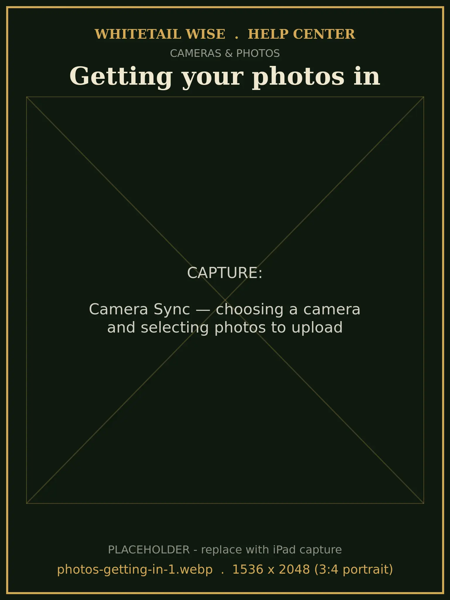 Camera Sync — choosing a camera and selecting photos to upload