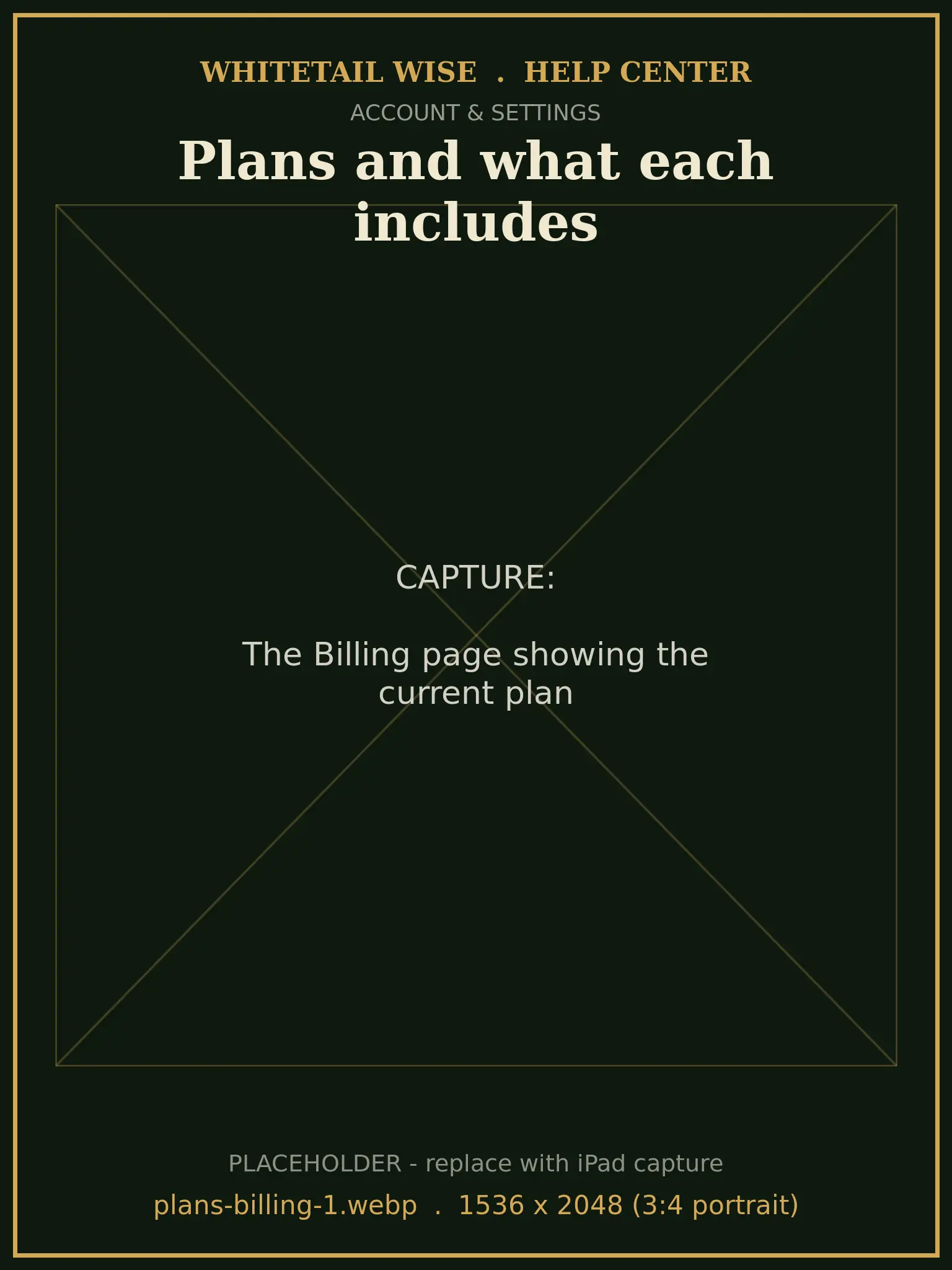 The Billing page showing the current plan