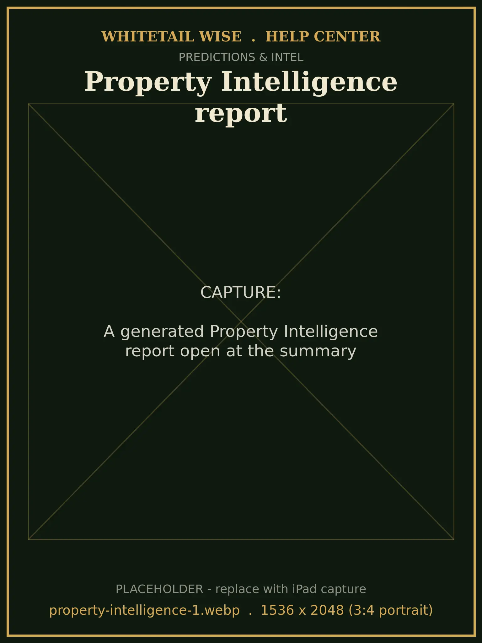 A generated Property Intelligence report open at the summary