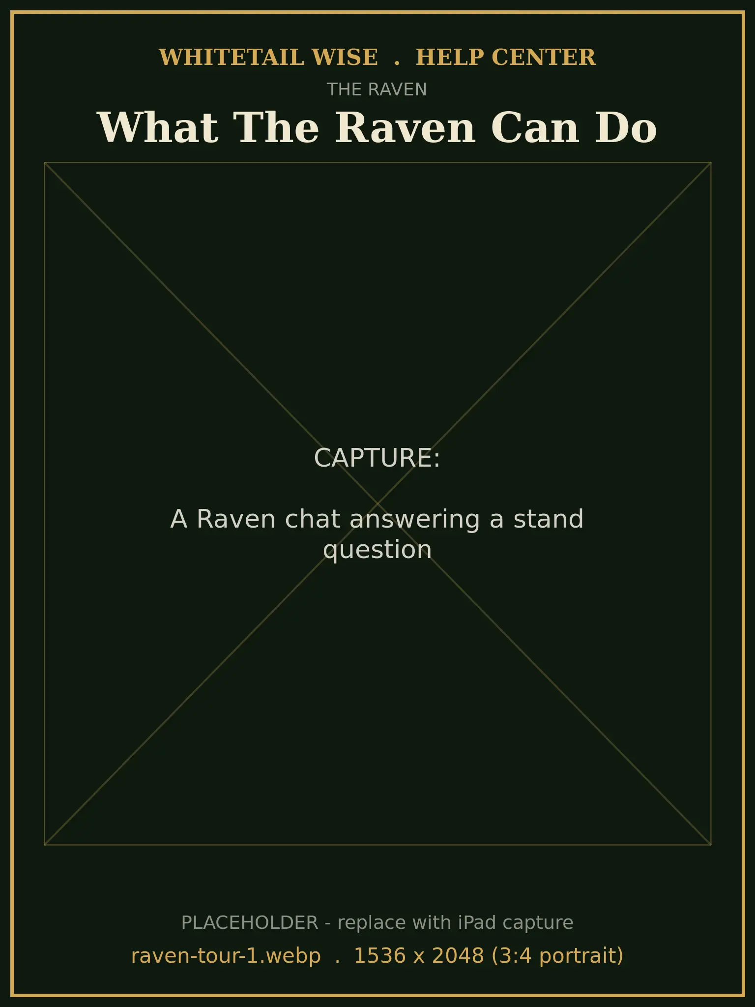 A Raven chat answering a stand question