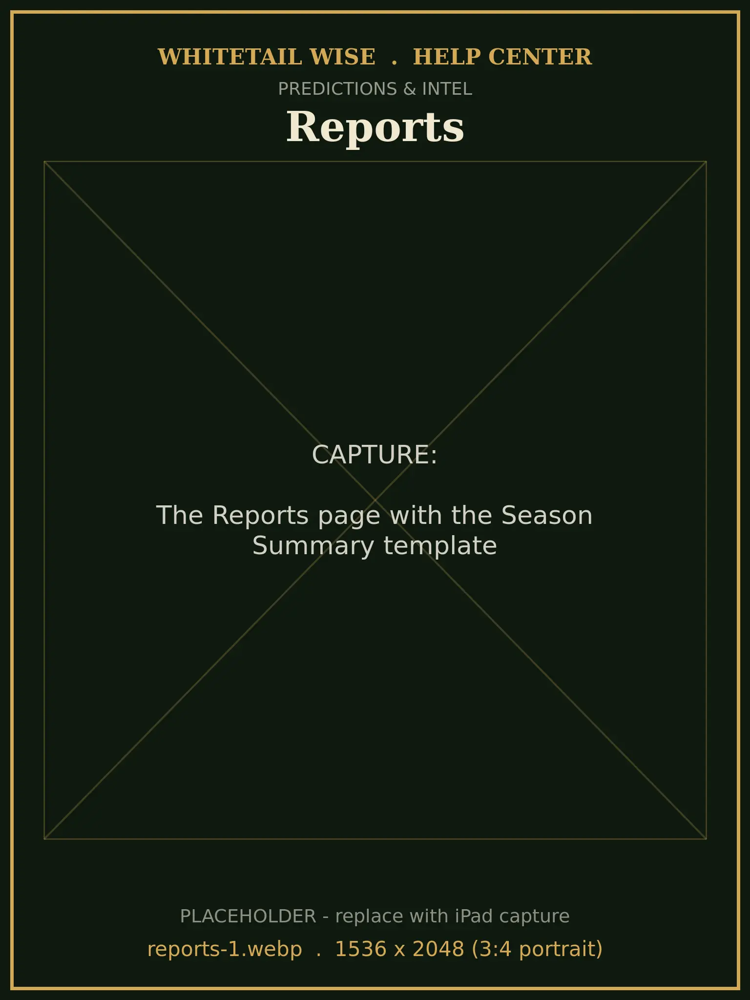 The Reports page with the Season Summary template