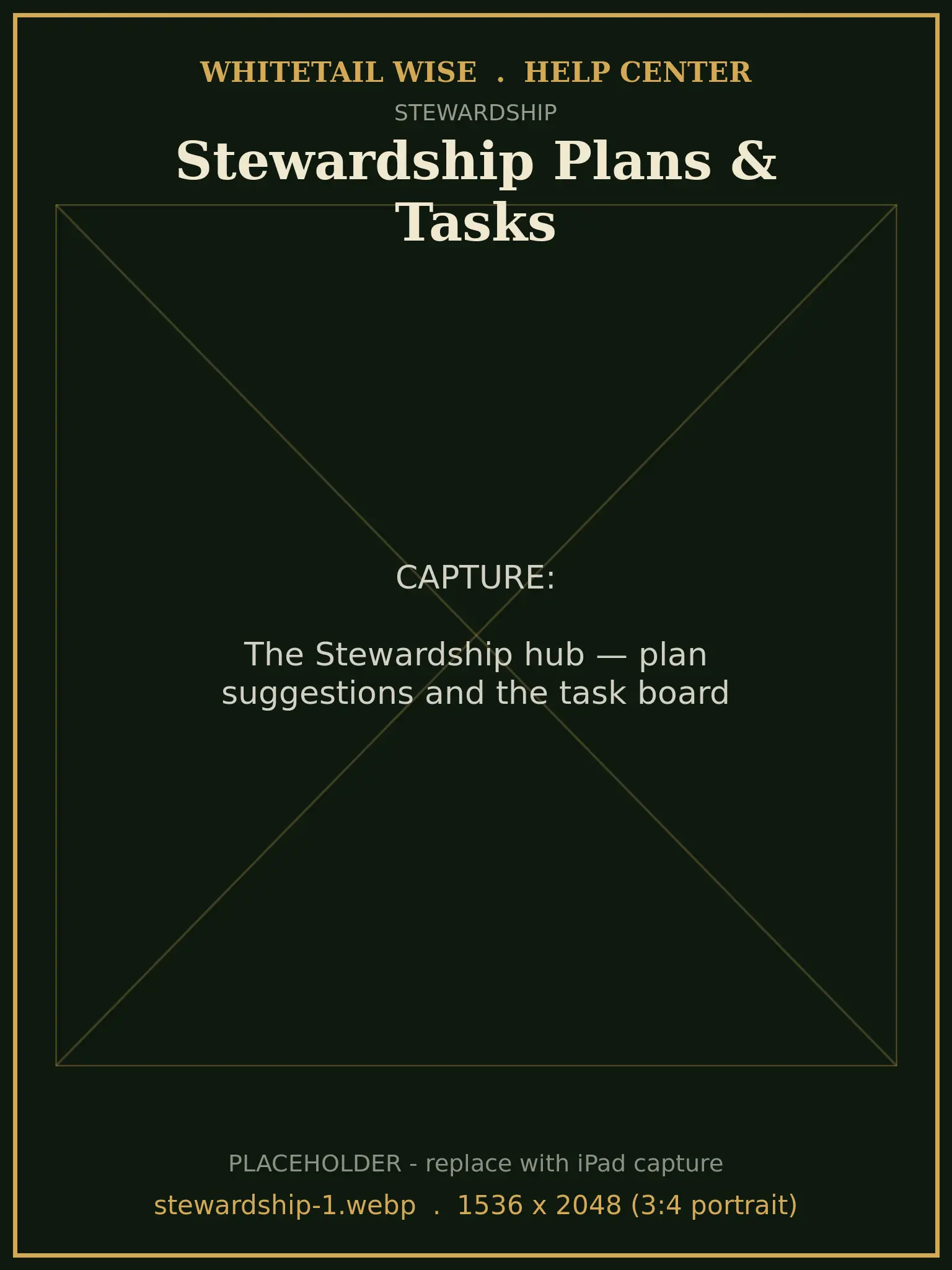 The Stewardship hub — plan suggestions and the task board