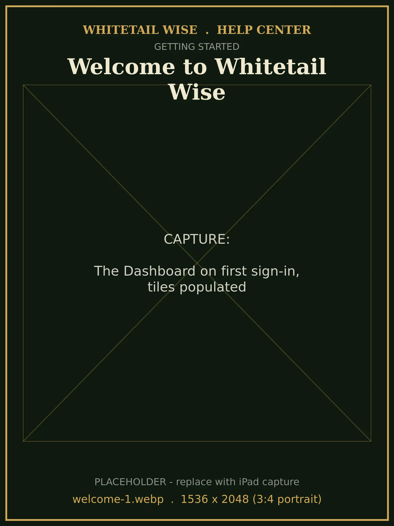 The Dashboard on first sign-in, tiles populated