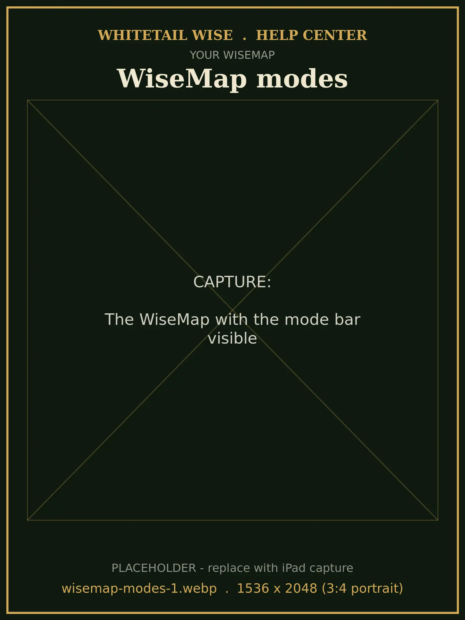 The WiseMap with the mode bar visible
