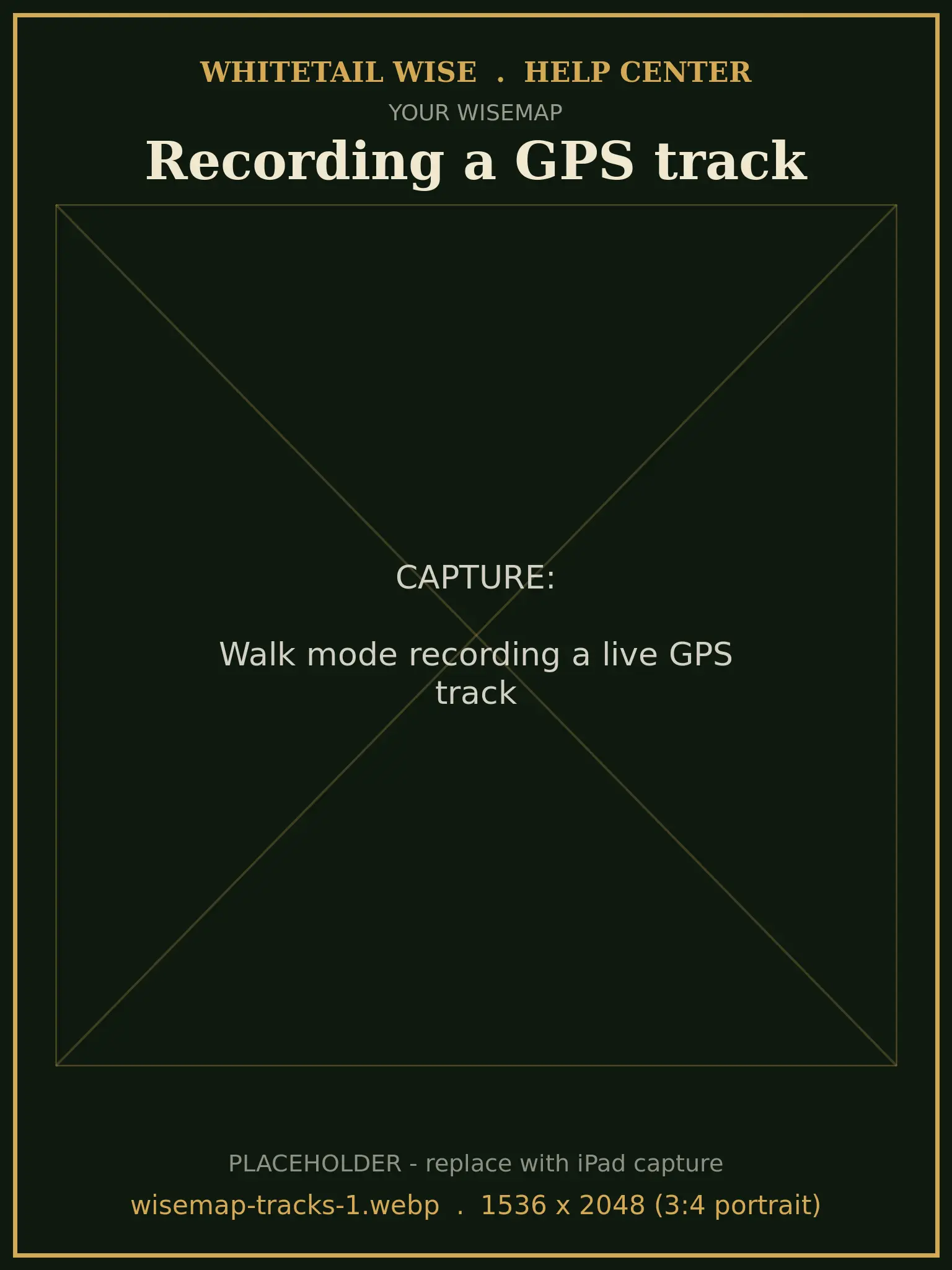 Walk mode recording a live GPS track